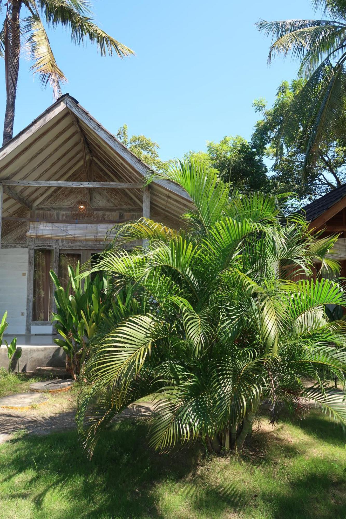 Kayu Cottage Gili Trawangan Eksteriør billede