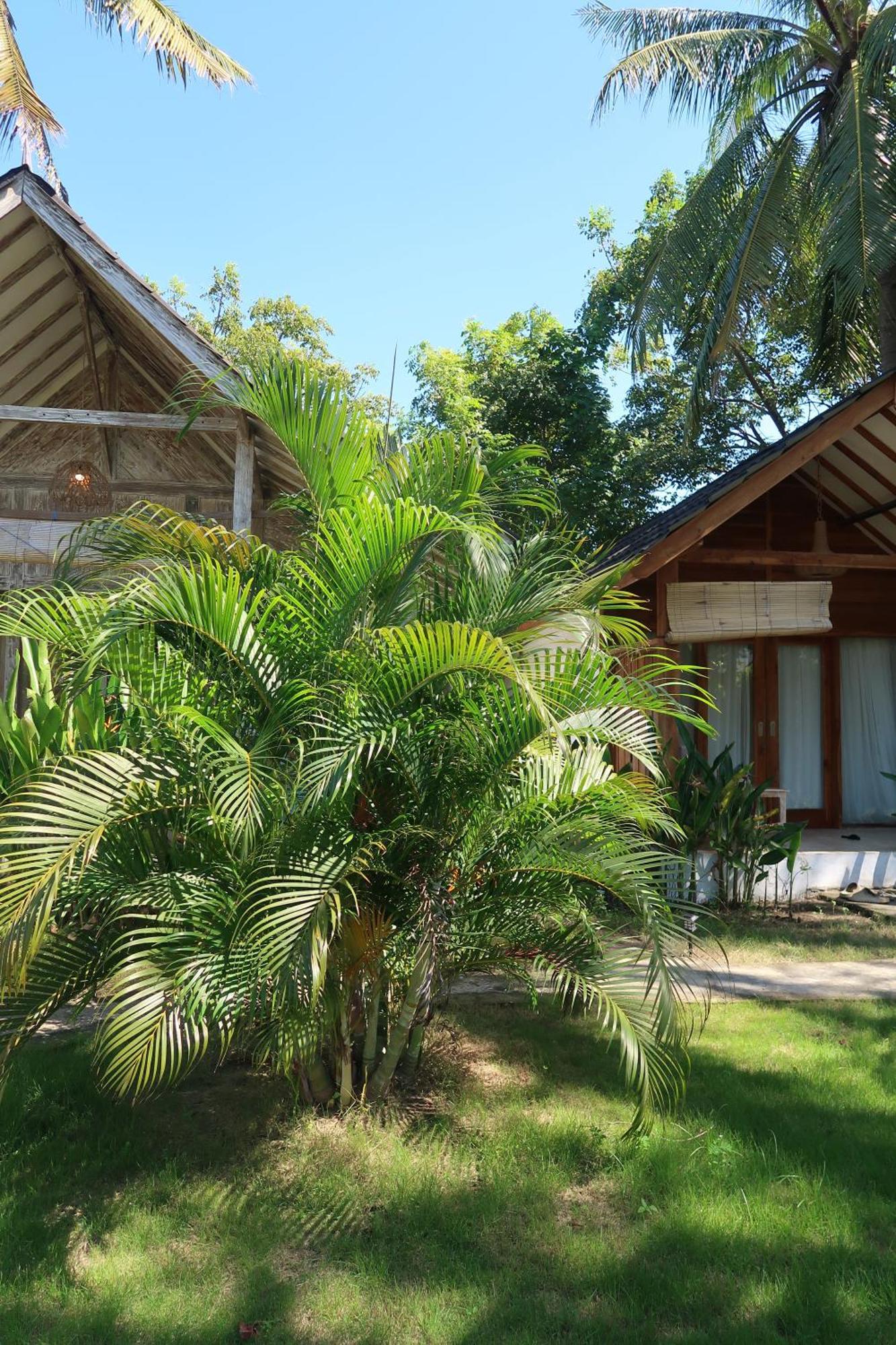 Kayu Cottage Gili Trawangan Eksteriør billede